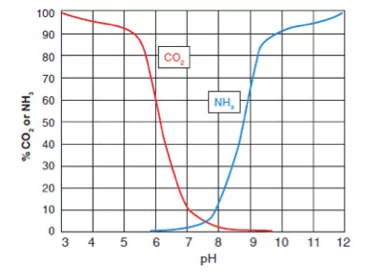 CO 2和pH相關(guān)，影響NH 3的毒性