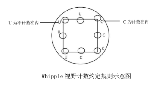 視野計數約定規(guī)則示意圖